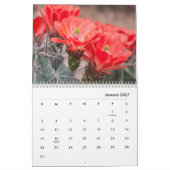 Cactus bloemen kalender (Jan 2027)