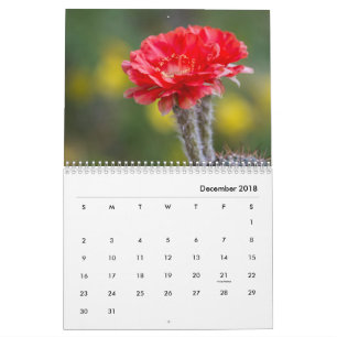 Cactus bloemen kalender