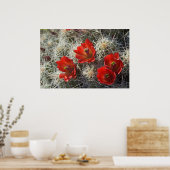 Cactus bloemen poster (Keuken)
