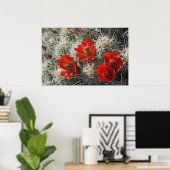 Cactus bloemen poster (Thuiskantoor)