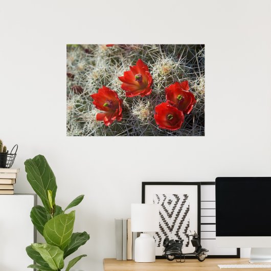 Cactus bloemen poster (Thuiskantoor)