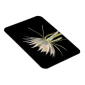 Cactus-bloemenmagneet Magneet (Rechterzijde)