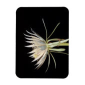 Cactus-bloemenmagneet Magneet (Verticaal)