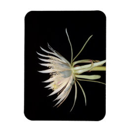 Cactus-bloemenmagneet Magneet