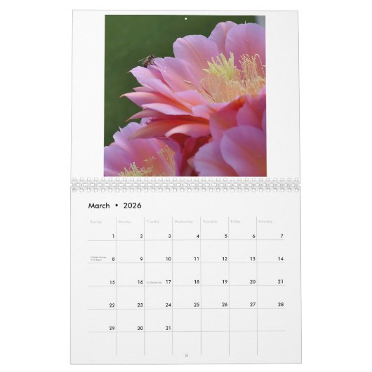 Cactus Bloesem Kalender (Mar 2026)