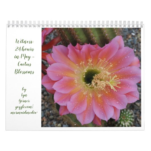 Cactus Bloesem Kalender (Hoes)