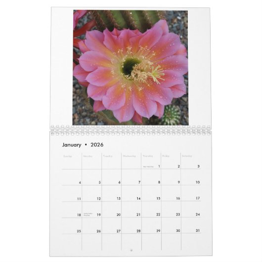 Cactus Bloesem Kalender (Jan 2026)