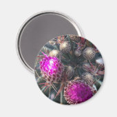 Cactus bloesem magneet (Voorkant / Achterkant)