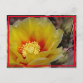 Cactus Bloom Briefkaart (Voorkant)