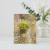 Cactus Bloom Briefkaart (Staand voorkant)