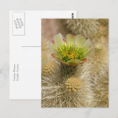 Cactus Bloom Briefkaart (Voorkant / Achterkant)