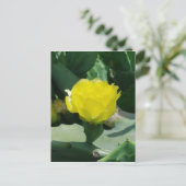 Cactus Bloom Briefkaart (Staand voorkant)