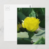 Cactus Bloom Briefkaart (Voorkant / Achterkant)