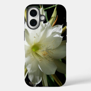 Cactus Bloom iPhone 16 Hoesje
