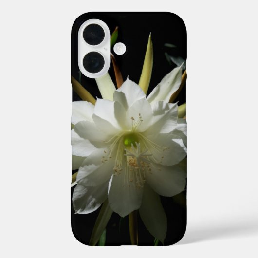 Cactus Bloom Case-Mate iPhone Case (Achterkant)