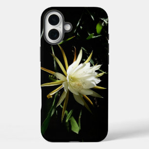 Cactus Bloom iPhone 16 Plus Hoesje