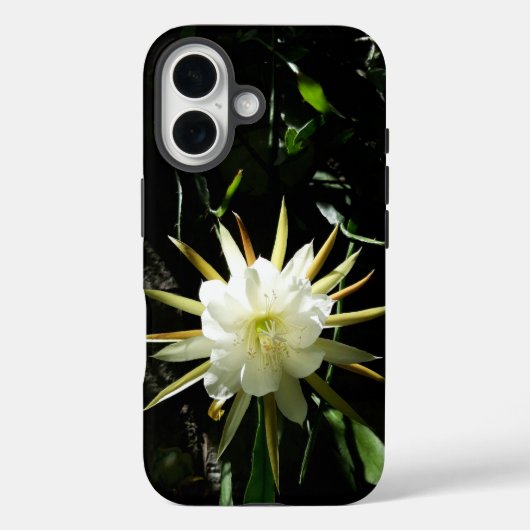 Cactus Bloom Case-Mate iPhone Case (Achterkant)