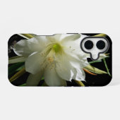 Cactus Bloom iPhone 16 Hoesje (Achterkant horizontaal)