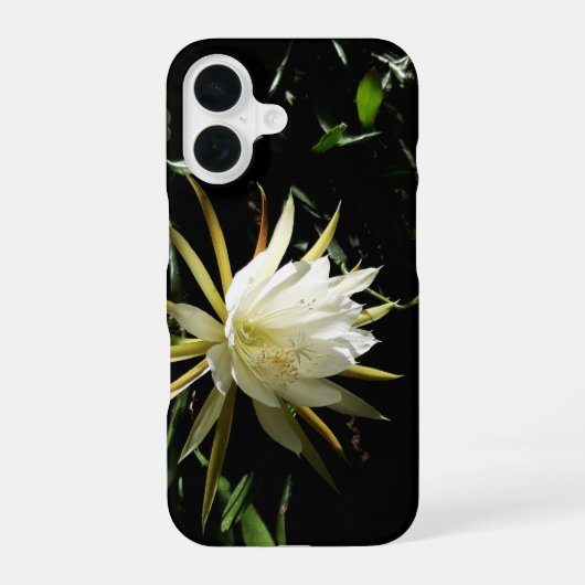Cactus Bloom iPhone 16 Hoesje (Achterkant)