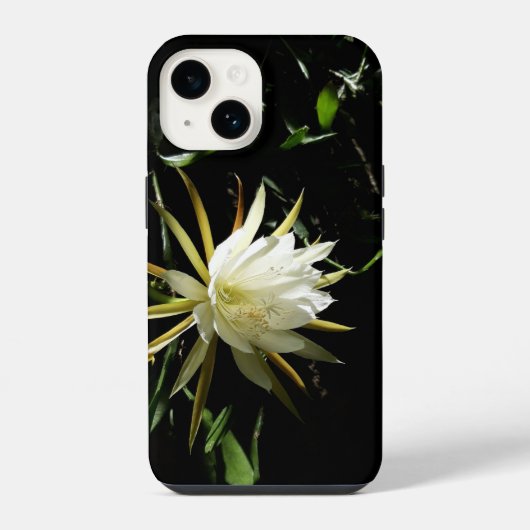 Cactus Bloom iPhone Hoesje (Achterkant)