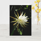 Cactus Bloom Kaart (Gele Bloem)