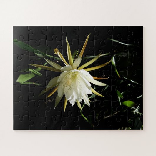 Cactus Bloom Legpuzzel (Horizontaal)