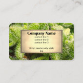 cactus bloom nature photo double sided  visitekaartje (Achterkant)