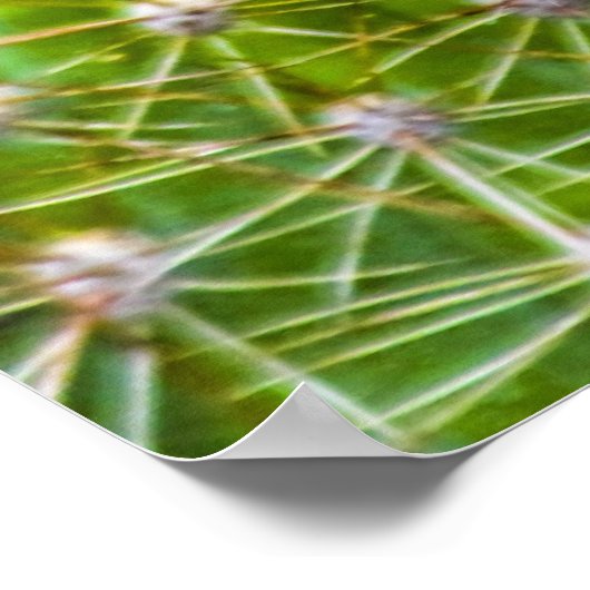 Cactus Bloom Poster (Hoek)