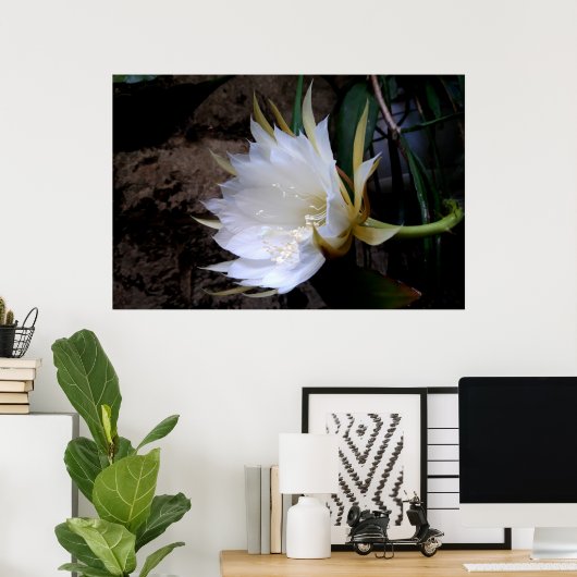 Cactus Bloom Poster (Thuiskantoor)
