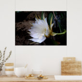 Cactus Bloom Poster (Keuken)
