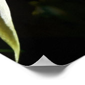 Cactus Bloom Poster (Hoek)