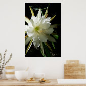 Cactus Bloom Poster (Keuken)