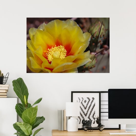 cactus bloom poster (Thuiskantoor)