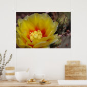 cactus bloom poster (Keuken)