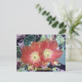 Cactus Bloom, Sedona, AZ Briefkaart (Staand voorkant)