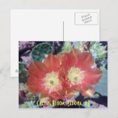 Cactus Bloom, Sedona, AZ Briefkaart (Voorkant / Achterkant)
