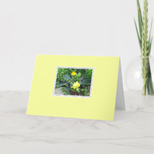 Cactus Blooms op gele blanco groet Kaart