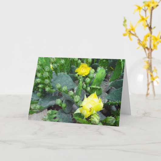 Cactus Blooms volledig gebleet blanco Kaart (Gele Bloem)