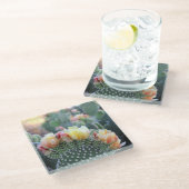 Cactus Blooms Yellow Pink woestijnfoto Glazen Onderzetter (Schuin)