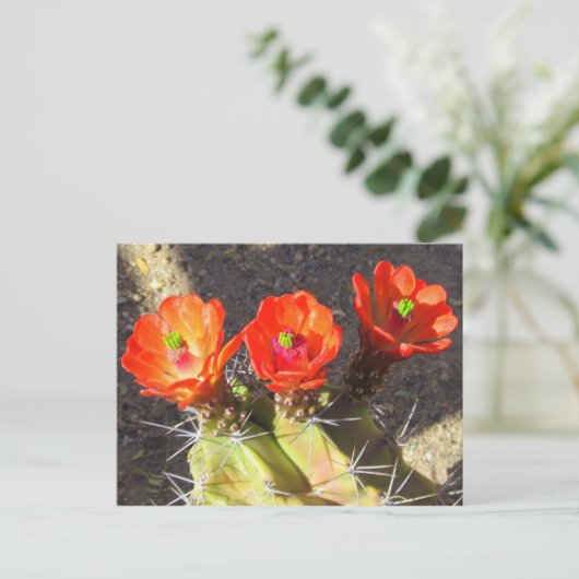 Cactus Blossom Briefkaart (Staand voorkant)