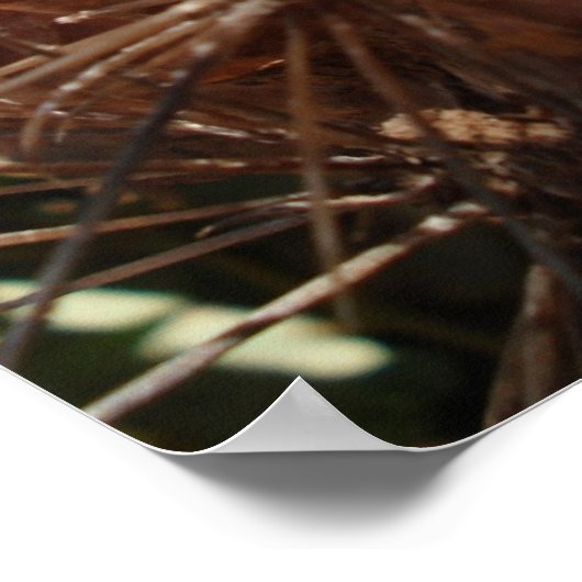 Cactus Bone Poster (Hoek)