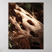 Cactus Bone Poster (Voorkant)