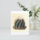 Cactus botanische illustratie uit 1841 briefkaart (Staand voorkant)