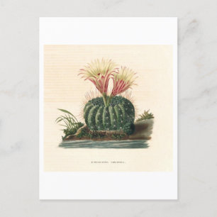 Cactus botanische illustratie uit 1841 briefkaart