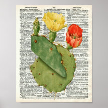 Cactus Botanische Kunst op Woordenboek Pagina 11