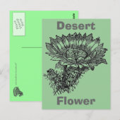 Cactus Briefkaart (Voorkant / Achterkant)