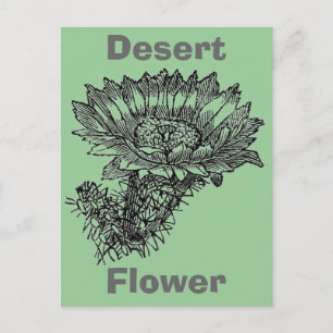 Cactus Briefkaart