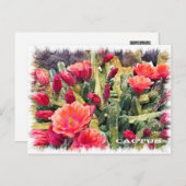Cactus Briefkaart (Voorkant / Achterkant)