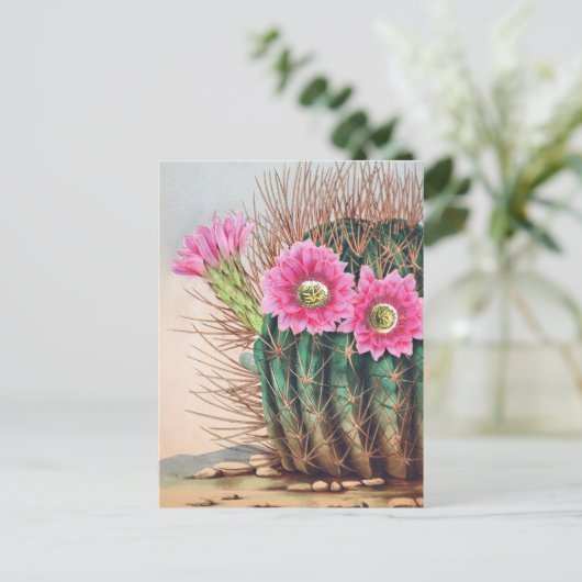  cactus briefkaart (Staand voorkant)