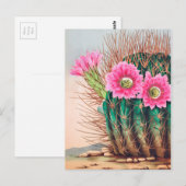 cactus briefkaart (Voorkant / Achterkant)